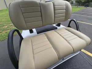 2025 E Z GO Freedom RXV ELiTE 2 2 White for Sale (9)