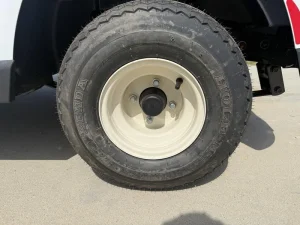 2025 E Z GO Freedom RXV ELiTE 2 2 for Sale (9)