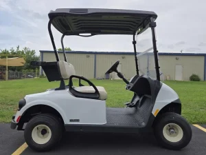 2025 E Z GO Freedom RXV ELiTE 2 2 for Sale123 (2)