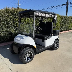 2025 E Z GO Freedom® RXV® ELiTE Lithium Bright White for Sale (1)