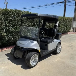 2025 E Z GO Freedom® RXV® ELiTE Lithium Platinum for Sale (1)