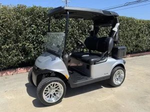 2025 E Z GO Freedom® RXV® ELiTE Lithium Platinum for Sale (2)