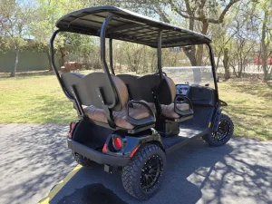 2025 E Z GO Liberty ELiTE 2 2 Black for Sale (6)