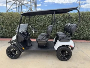 2025 E Z GO Liberty™ ELiTE Lithium Bright White for Sale (3)