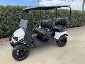 2025 E Z GO Liberty™ ELiTE Lithium Bright White for Sale (4)