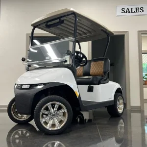 2025 E Z GO RXV ELiTE for Sale (1)