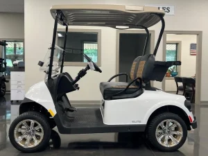 2025 E Z GO RXV ELiTE for Sale (2)