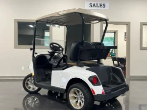 2025 E Z GO RXV ELiTE for Sale (3)