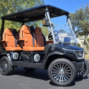 2025 EVolution D Max GT4 Golf Cart for Sale (1)