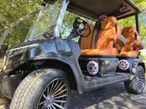 2025 EVolution D Max GT4 Golf Cart for Sale (10)