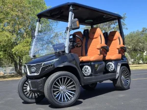 2025 EVolution D Max GT4 Golf Cart for Sale (2)