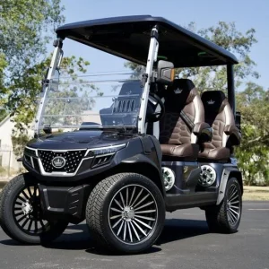 2025 EVolution D Max GT4 — Luxury 4 Passenger Electric Golf Cart For Sale (1)