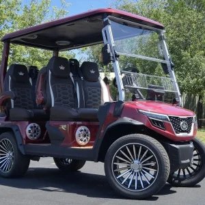 2025 EVolution D Max GT4 — Premium 2 Passenger Electric Golf Cart For Sale12 (1)