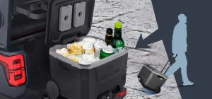 2025 EVolution D Max GT4 — Premium 2 Passenger Electric Golf Cart For Sale12 (12)