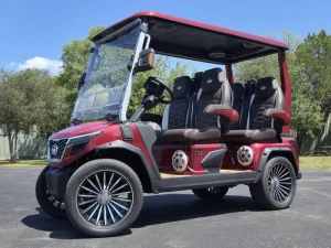 2025 EVolution D Max GT4 — Premium 2 Passenger Electric Golf Cart For Sale12 (2)