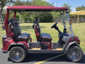 2025 EVolution D Max GT4 — Premium 2 Passenger Electric Golf Cart For Sale12 (9)