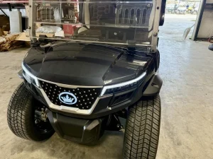 2025 EVolution D Max GT4 — Premium 4 Passenger Electric Golf Cart For Sale11 (4)