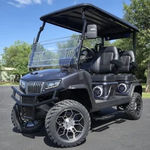 2025 EVolution D5 Maverick 4 Plus for Sale (1)