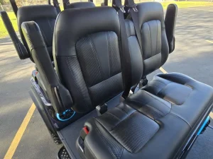 2025 EVolution D5 Maverick 4 Plus for Sale (3)