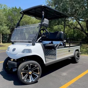 2025 EVolution Turfman 1000 Plus — High Capacity Electric Utility Golf Cart For Sale25 (1)