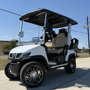 2025 TARA Roadster 2+2 White for Sale (1)